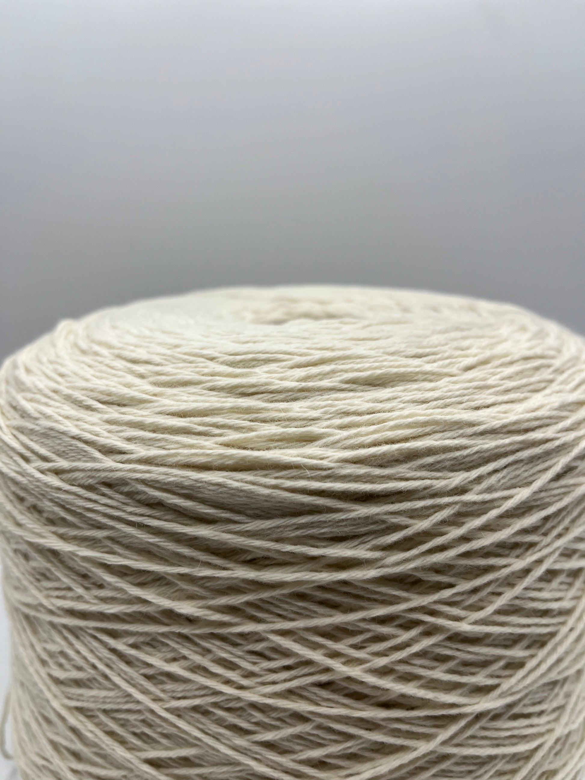 PRE-ORDINE CashWool - Maninmaglia