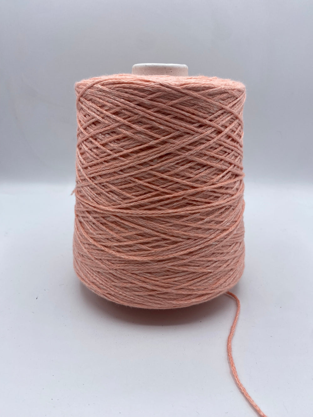 SOFTCOTTON-100FETTUCCIATONDACOTONE - Maninmaglia